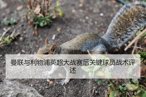 曼联与利物浦英超大战赛后关键球员战术评述